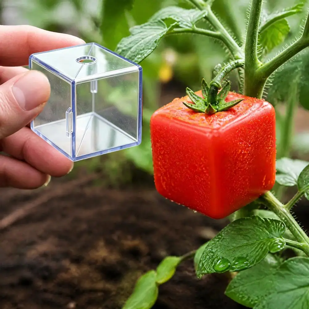 Fruit Growing Shaping Mold, Transparent Fruit Forming Mould Reusable Garden Tool for Growing Special Shaped Fruits