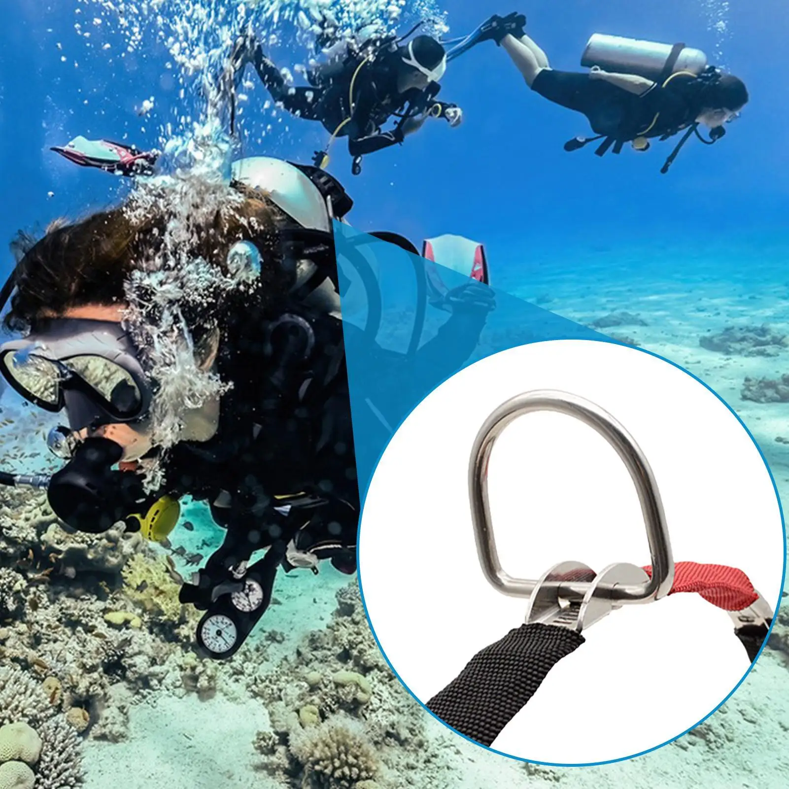 الغوص حزام الوزن D حلقة الفولاذ المقاوم للصدأ حزام تسخير حزام الغوص D حلقة الظهر يطير الجانب تحديد المواقع مشبك قاعدة للمياه