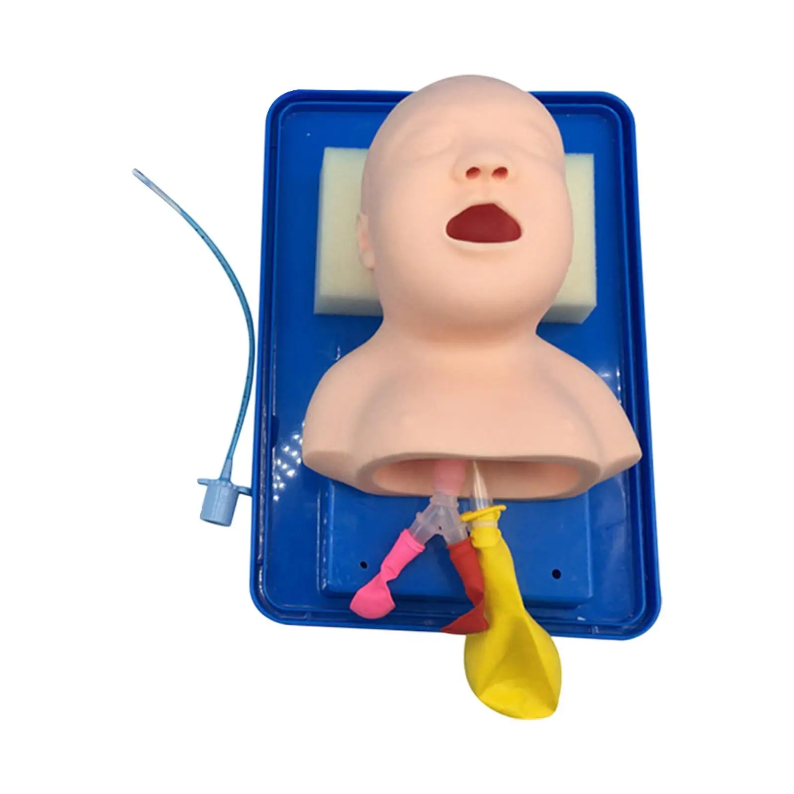 

Airway Management Train Tool,Infant Tracheal Intubation Model,Pediatric Intubation Manikin for Science Lab,Nursery Students