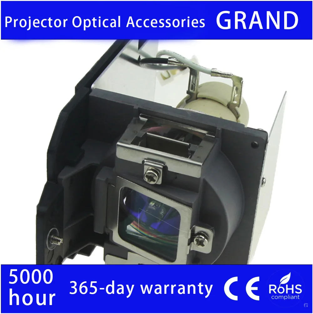 Professional Projec…