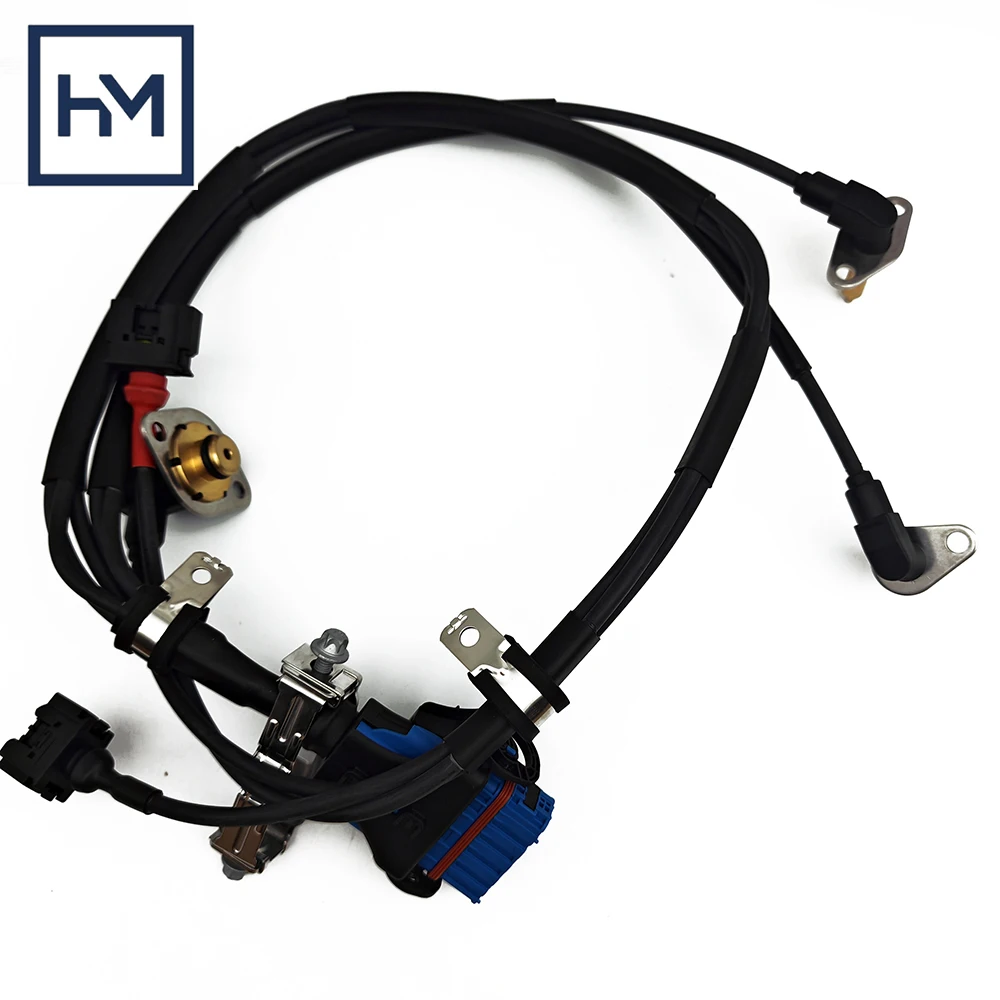 OE:0501219773 1887071 1950604 0501215549 0501217256 New Truck Parts Transmission Retarder Cable Harness For DAF Truck