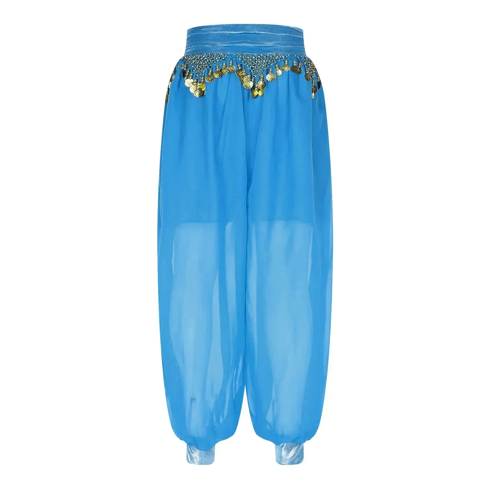 Chiffon Belly Dance Harem Pants Women Tribal Arabic Halloween Dance Performance Trousers Gold Trim Tassels Bellydance Costume