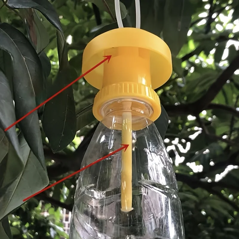 6pcs Fruit Fly Hijab Pest Trap for Orchard Sweet Potato Vegetable Fields Orchard Fruit Protection Easy Monitor Traps