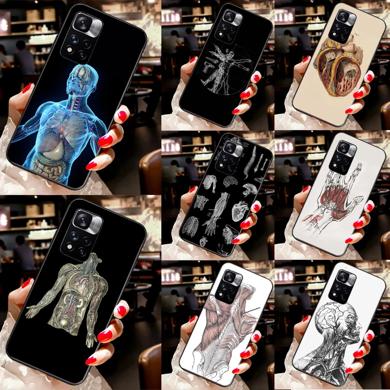 Human Anatomy Case … - image