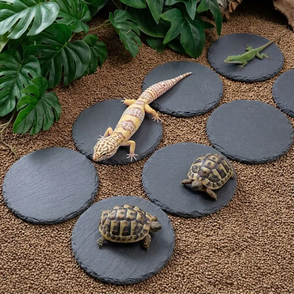 10pcs Round Slate Drink Coasters Anti-Scratch Bottom Irregular Edges Natural Slate Coasters Insulation Cup Coasters Party Gifts