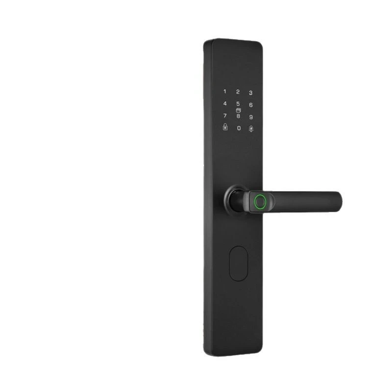 Wooden door lock Anti-theft door lock Fingerprint password lock