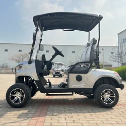 Newest Lithium Battery Golf Car 48V Adults Solar Panels Powered 2 Seater  Electric Golf Cart