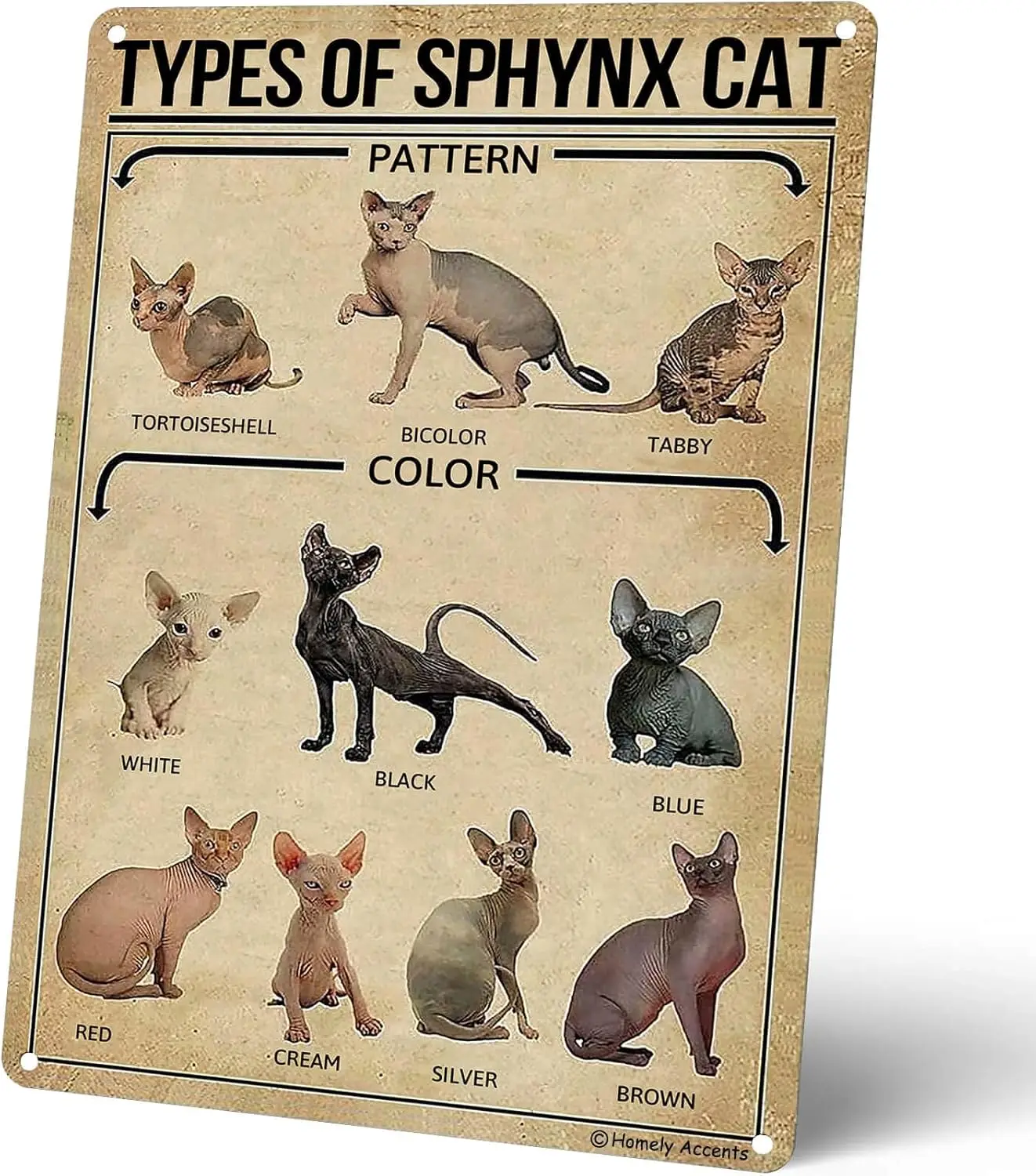 Types Of Sphynx Cat Metal Signs, Vintage Wall Art Poster Tin Signs for Home, Farmhouse, Bathroom, and Pet Shops Decor Gift for C