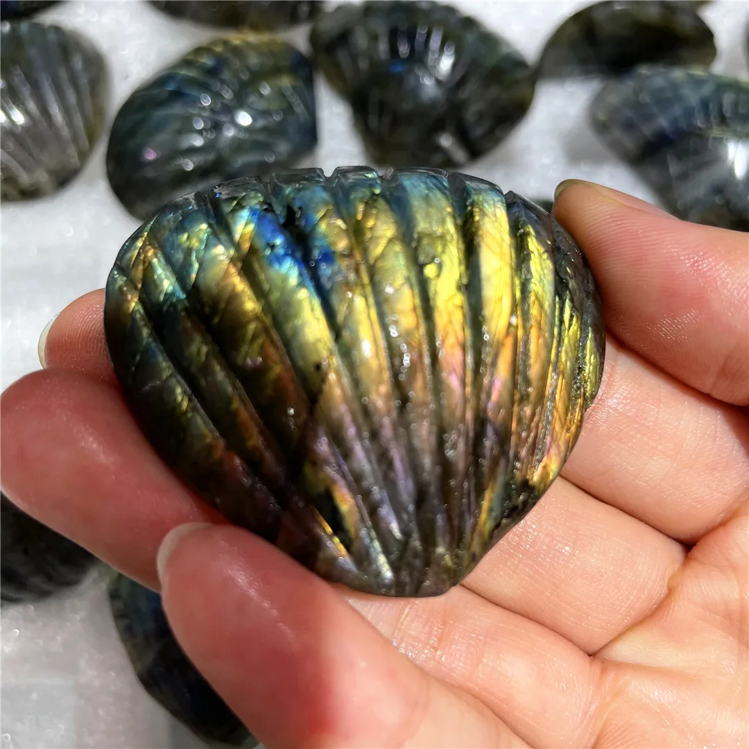 

High Quality Labradorite Natural Stone Carved Shell Lovely Seashell Folk Crafts Reiki Decorative Ornaments Healing Crystals