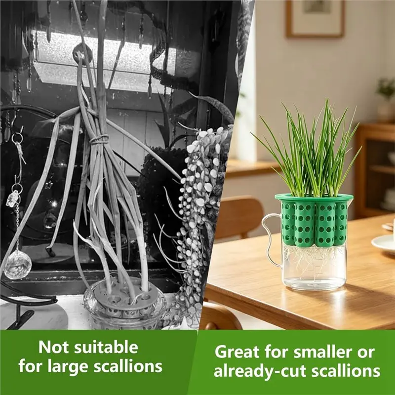 ABAE-Green Onion Planter Scallion Regrower Sprouting 2 Green Onion Grower Containers& 2 Plastic Cups With Handles For Windows