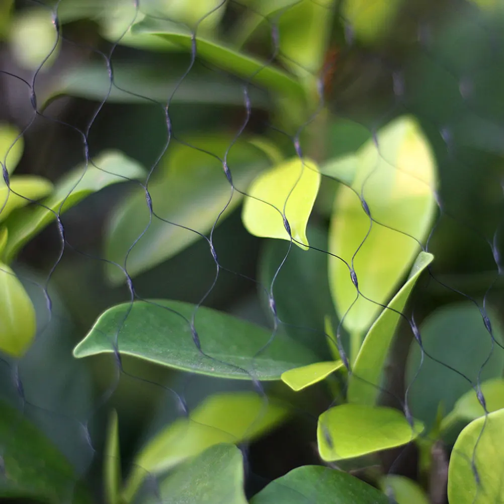 

Black Anti Bird Net 5x10M Garden Plant Protecting Mesh Fencing Fruit Tree Shrub Vegetable Long Life Easy Fold Storage Safe