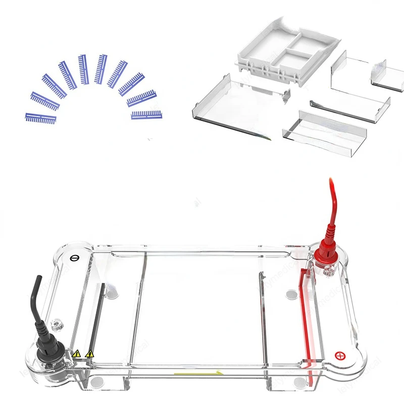 

Factory High Quality Electrophoresis Apparatus DNA Multipurpose Horizontal Electrophoresis Cell PCR Electrophoresis