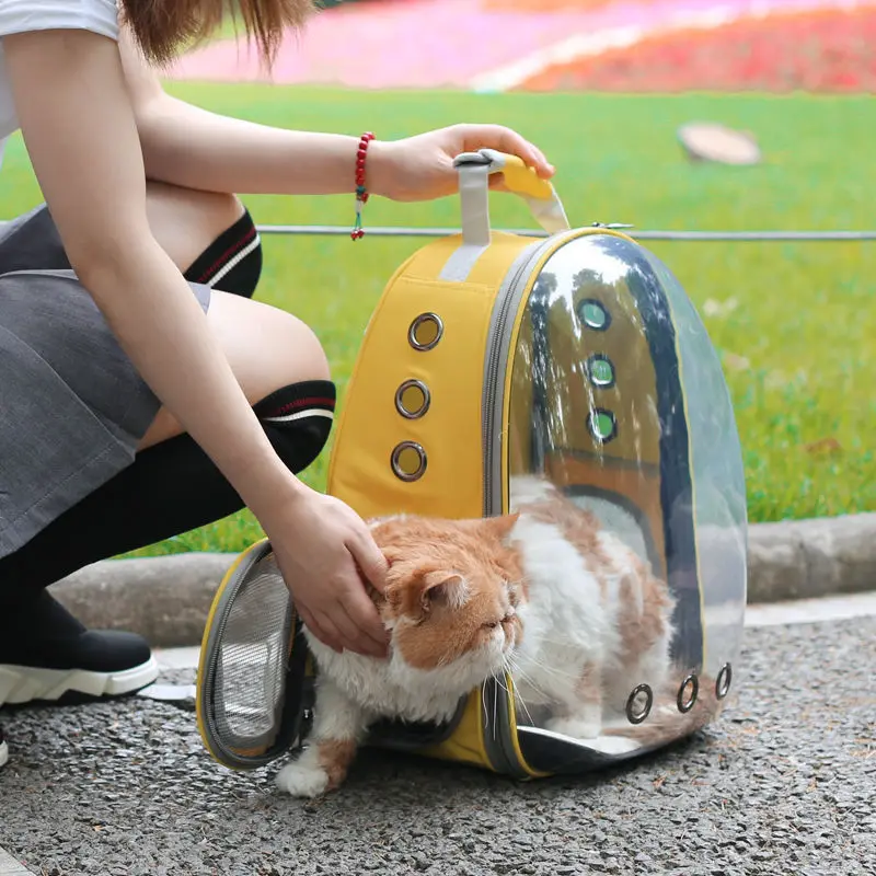

cat bag going out portable bag, space capsule breathable backpack, cat schoolbag