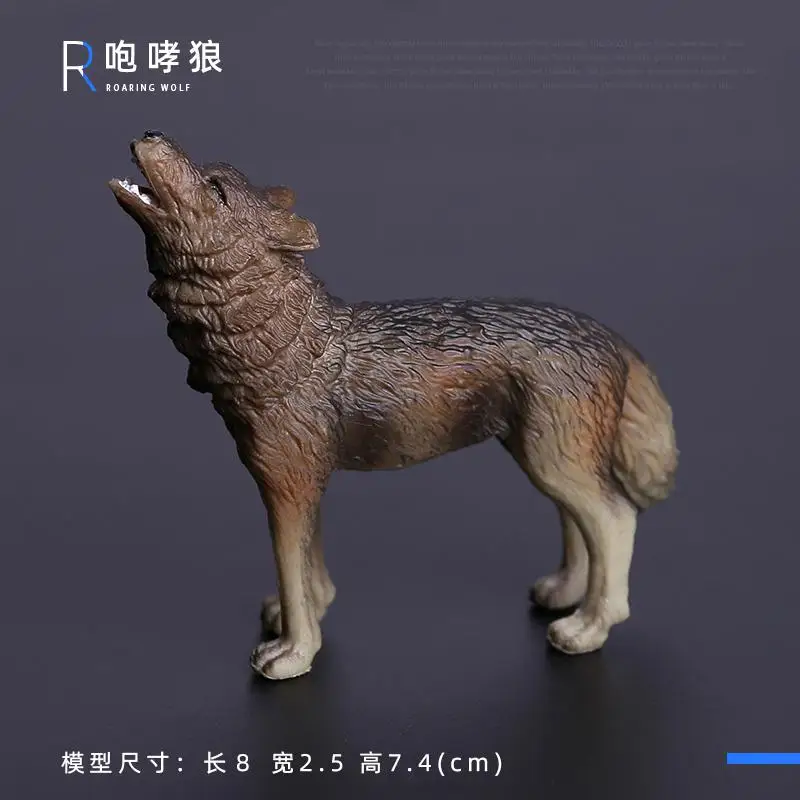 Simulatie Wilde Beeldjes Zwarte Beer Wombat Wasbeer Model Actiefiguren Bosdieren Speelgoed Woondecoratie Kinderen Onderwijs