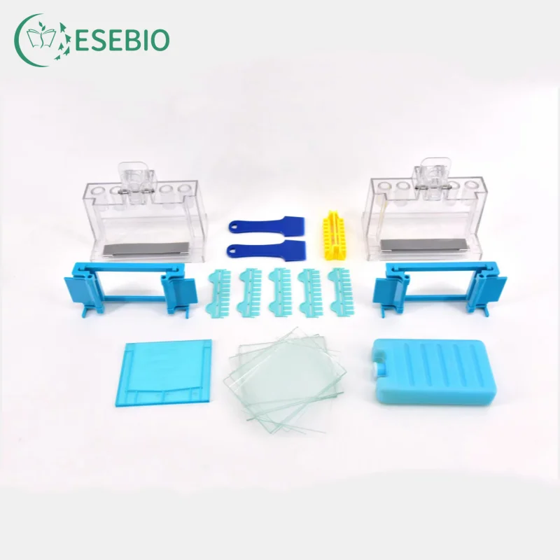 Electrophoresis Cell For DNA sequencing analysis and DNA fingerprinting analysis differential display and SSCP research