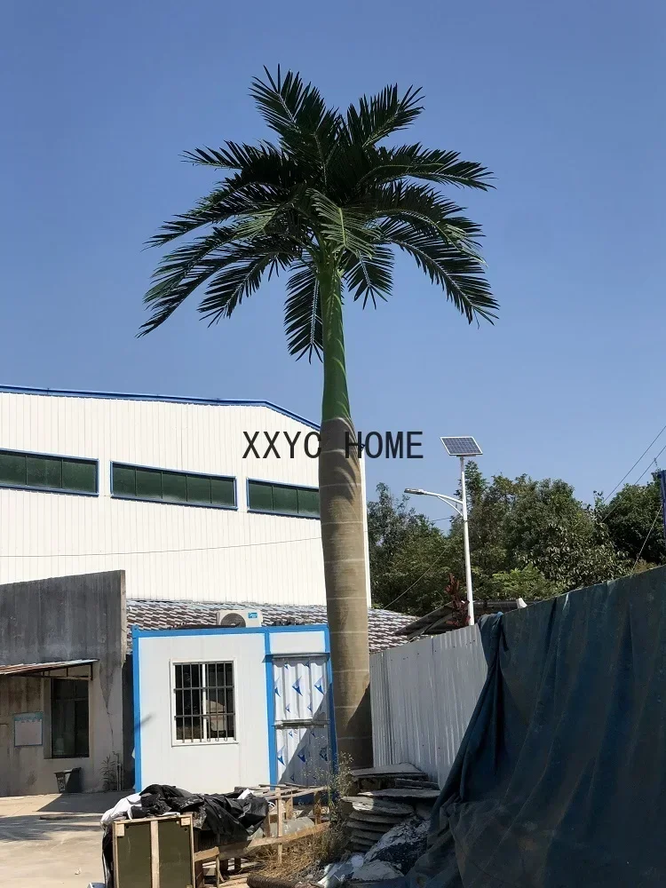 Coconut Tree Tropical Landscaping Palm Tree Hotel Decoration