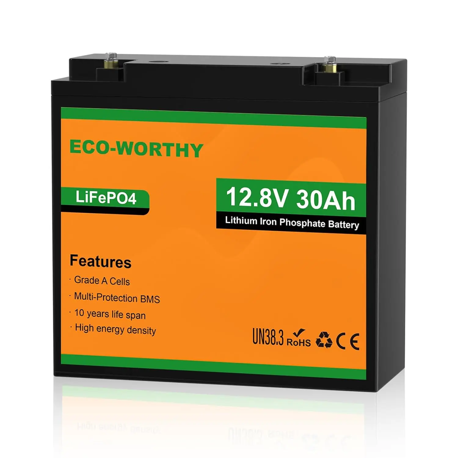 12V 30Ah LiFePO4 Lithium Battery, 4000+ Deep Cycle Rechargeable Battery with BMS for Ham Radio, Fish Finder,, Customized