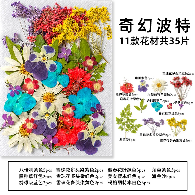 35Pcs10 Set of Dried Flowers and Pressed Real Natural Flower Leaves for Resin Jewelry Mold Filling, Phone Case Making, Decoration, and Scented Candles view 2