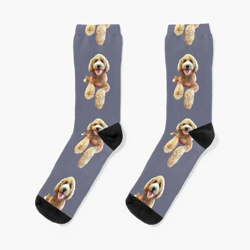 Labradoodle Cute Cartoon Dog Socks christmass gift tennis set with print Men's Socks Women's