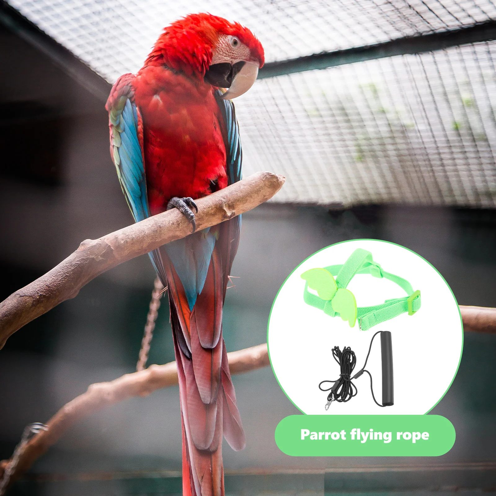 

Harness for Birds Flying Strap Rope Train Parrot Riding Green Elastic Cotton and Leash