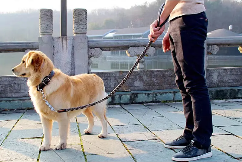 Robuste und strapazierfähige Hundeleine aus echtem Leder, geflochtene Hundetrainingsleine für Schäferhunde, mittelgroße und große Hunde, Haustierzubehör. – Detail 9