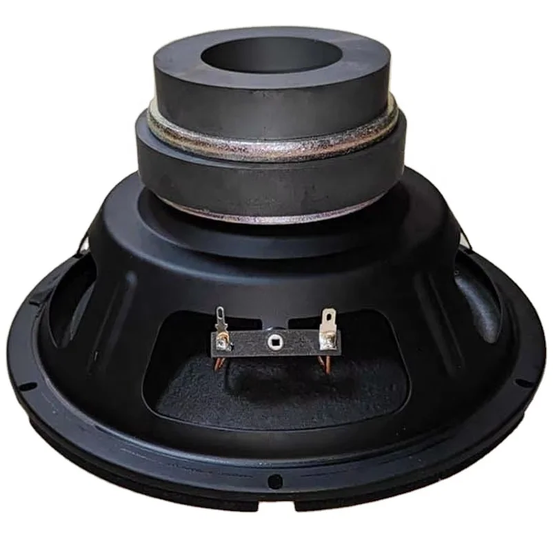 10 Zoll 60 mm Schwingspule mit Ferrit-PA-Schaum-Subwoofer