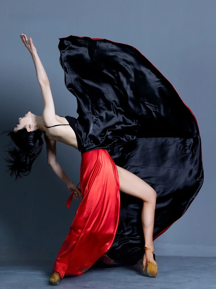 Robe de danse latine pour adultes, robe de danse professionnelle pour corrida espagnole, une jupe, jupe de spectacle Flamenco, robe de danse pour salle de bal