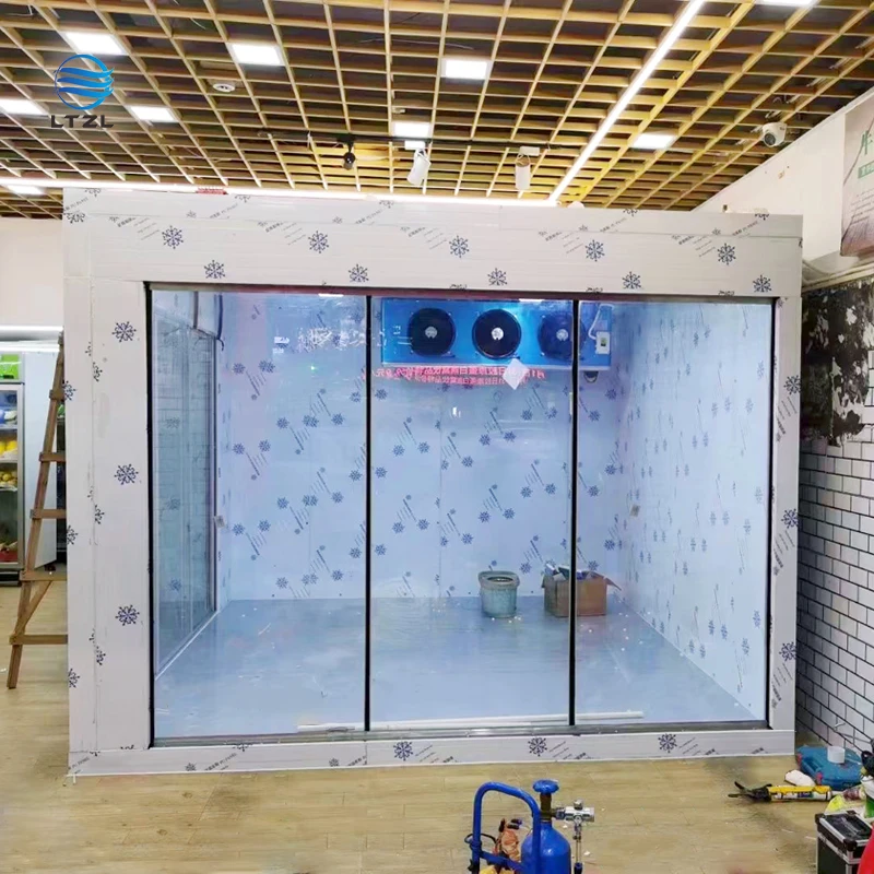 Contenitore mobile commerciale per congelatore per stanza fredda Congelatore 10 20 30 40 Stoccaggio freddo per stanza refrigeratore