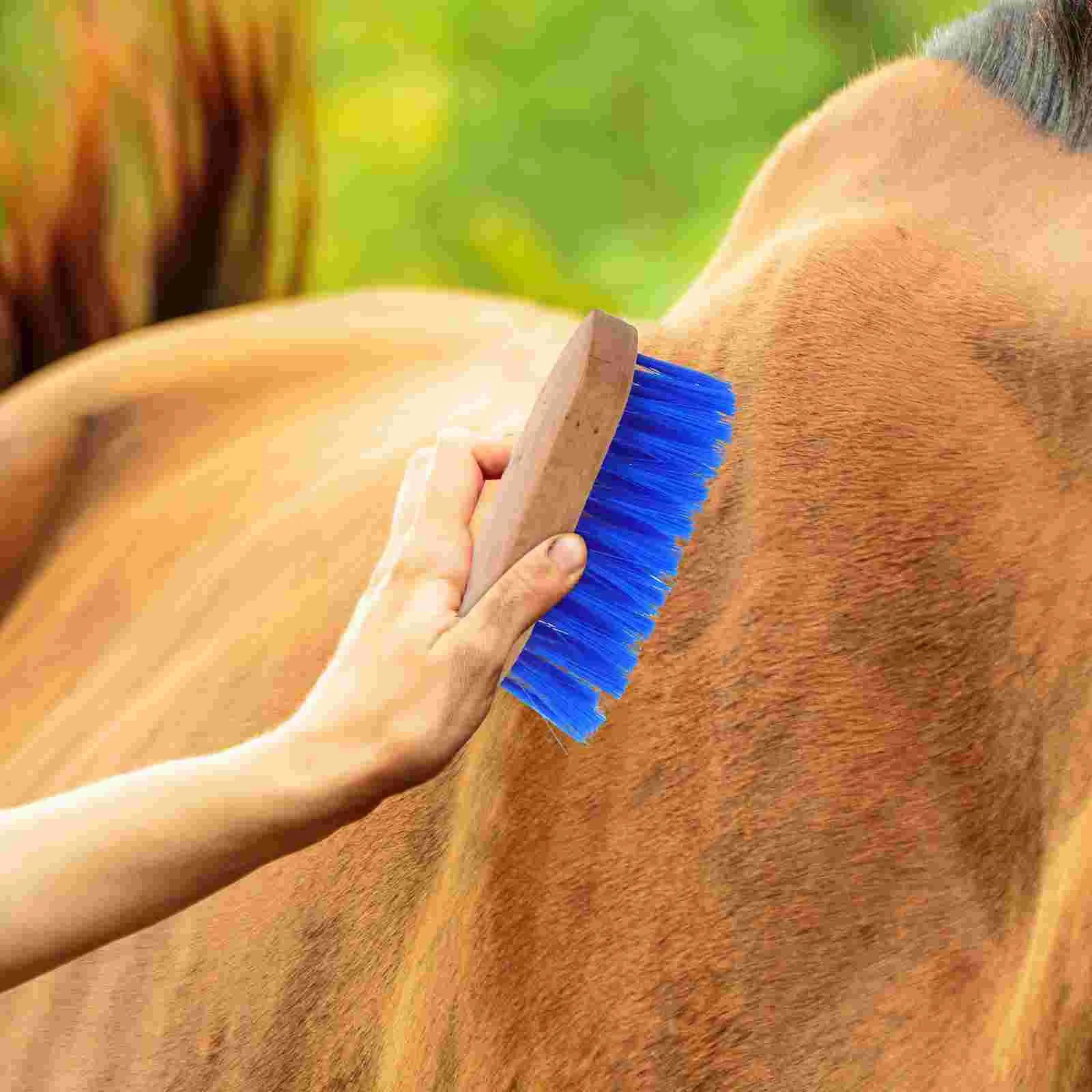 

Stable Supplies Horse Brush Pet Hair Removal Tool Stiff Bristle Wooden Cleaning Durable