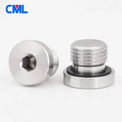 Metric Male Thread 304 Stainless Steel Hex Socket End Cap ED Fluorine Rubber Ring Flange Hexagon Plug Oil Water Pipe Fitting