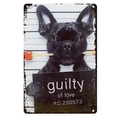 Guilty French Bulldog Wall Tin Sign Retro Iron Poster Plaque Metal Sheet Vintage Personalized Art Creativity Decoration
