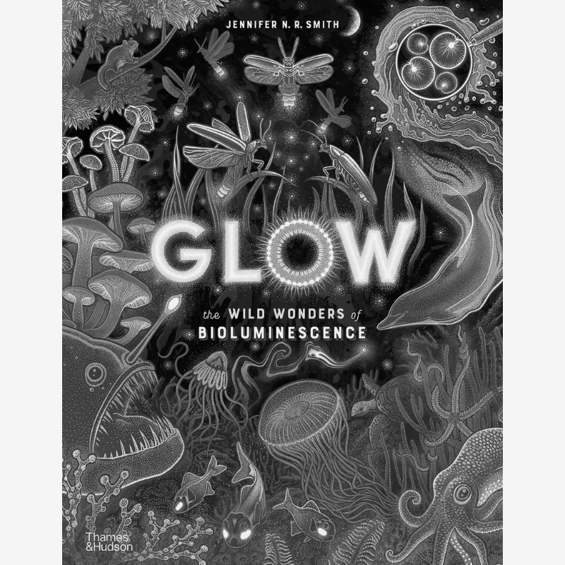 Glow The Wild Wonders Of Bioluminescence Jennifer N R Smith Thames And Hudson Ltd 9780500653203 Book