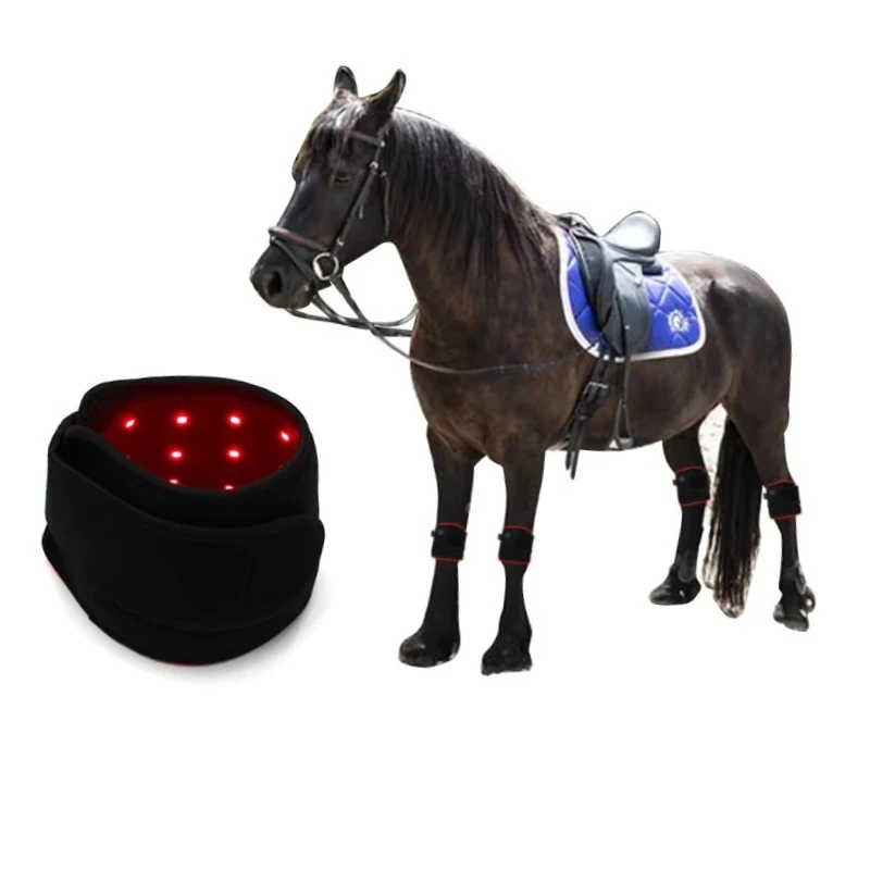 

Led Red Light Therapy 660nm 850nm Pet Dog Horse Equipment Red Therapy Light Pad for Dog Cat Horse Animal Care and Supplies