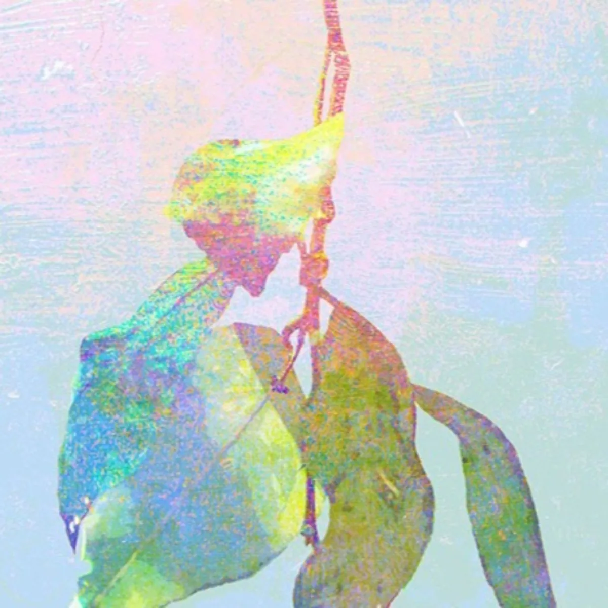 قرص مضغوط لألبوم Kenshi Yonezu مع كتاب كلمات - يتضمن "ليمون"، محيطية قابلة للجمع، سجل موسيقي عالي الدقة للمعجبين #6