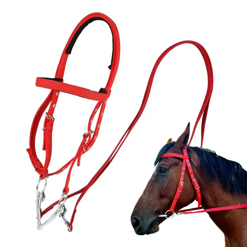 Horse Bridle Adjustable Snaffle Noseband Nylon Equine Noseband Reins for Women Men Soft Lined Trail Riding Equestrian Supplies