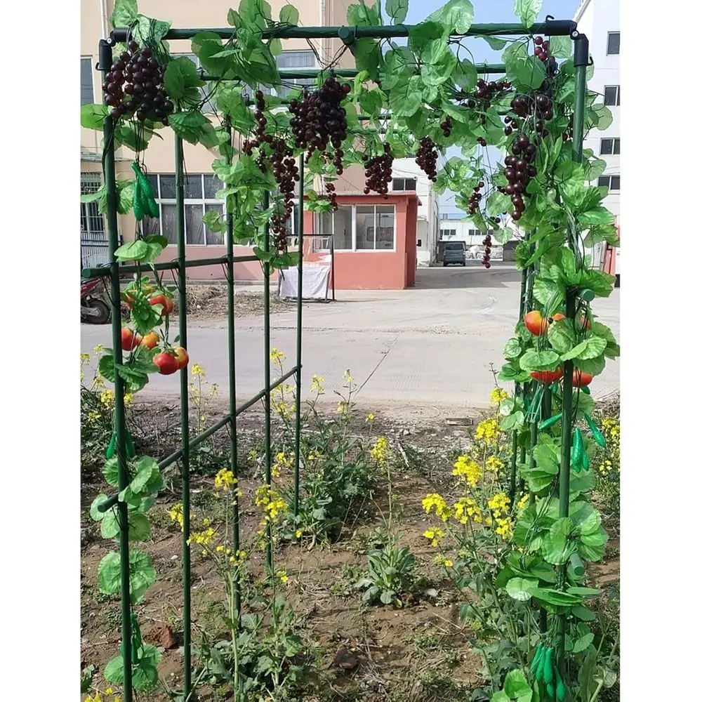 

Raised Bed Grape Trellis, 5.9ft Tall Garden Stakes for Climbing Plants, Suitable for Vegetables and Flowers
