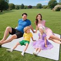 200x200cm Foil Moisture Proof Mat Picnic Blanket Beach Blankets Large Tent Mat Waterproof Camping Carp For Outdoor Activities