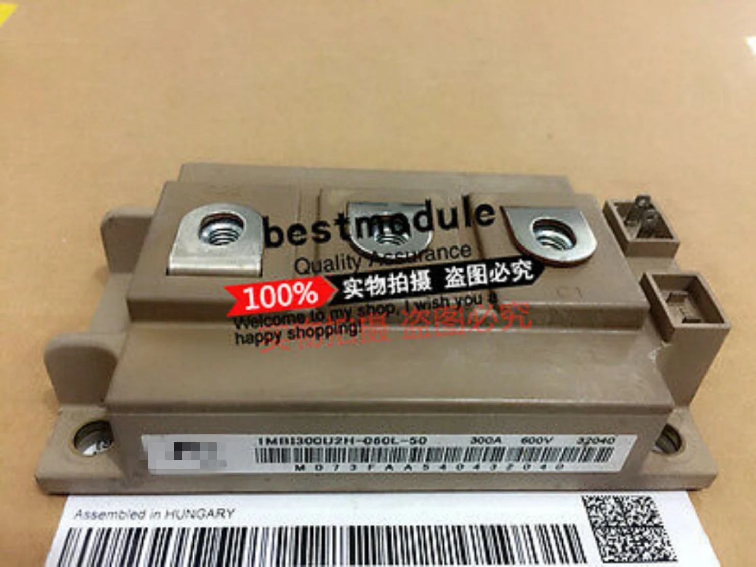 

1PCS 1MBI300U2H-060L-50 NEW 100% Quality Assurance