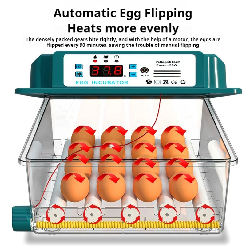 حاضنة بيض ذكية أوتوماتيكية بسعة 16/36 تستخدم آلة حضانة صغيرة للمنزل دجاج بطة أوزة حمامة تحول الاختيار