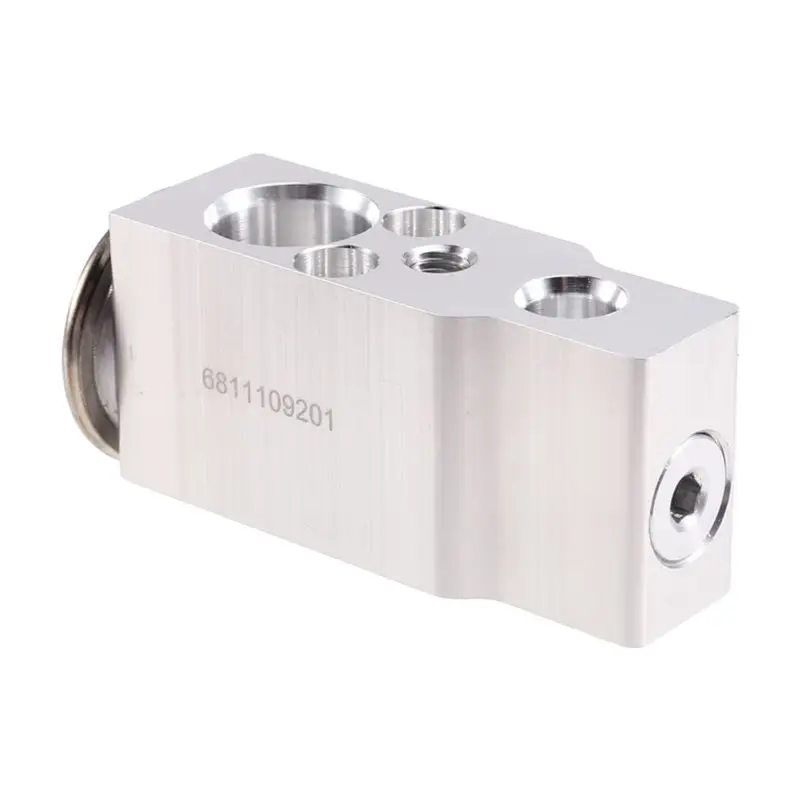 Air Conditioner Expansion Valve 6811109201 Car Part For Ssangyong Korando Sports-A61E