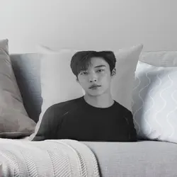 Woo Do Hwan Black And White  Printing Throw Pillow Cover Decorative Hotel Decor Square Case Comfort Pillows not include One Side