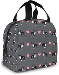 Grey Boston Terrier Insulated Lunch Bag Portable Thermal Cooler Box Reusable Picnic Tote Bento Bag for Men Women Kids Work