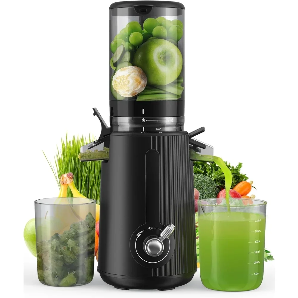 Juicer Machines with 2 Cups, Cold Press Juicer Whole Fruit and Vegetable with 4.3