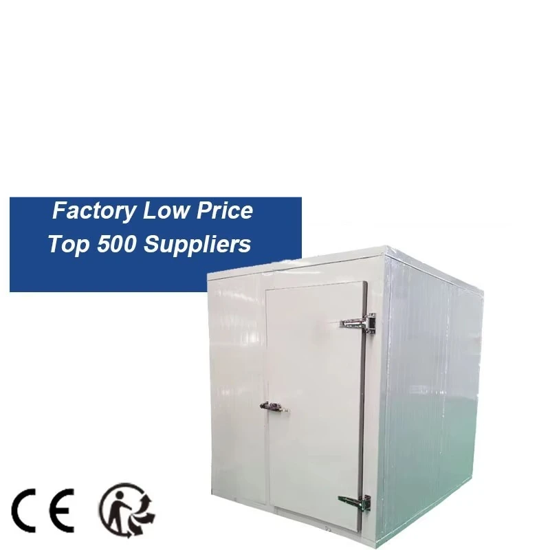 Customized Wholesale Refrigeration Chamber Cold Room Freezer For Seafood Ice Cream Frozen Food Storage Equipment