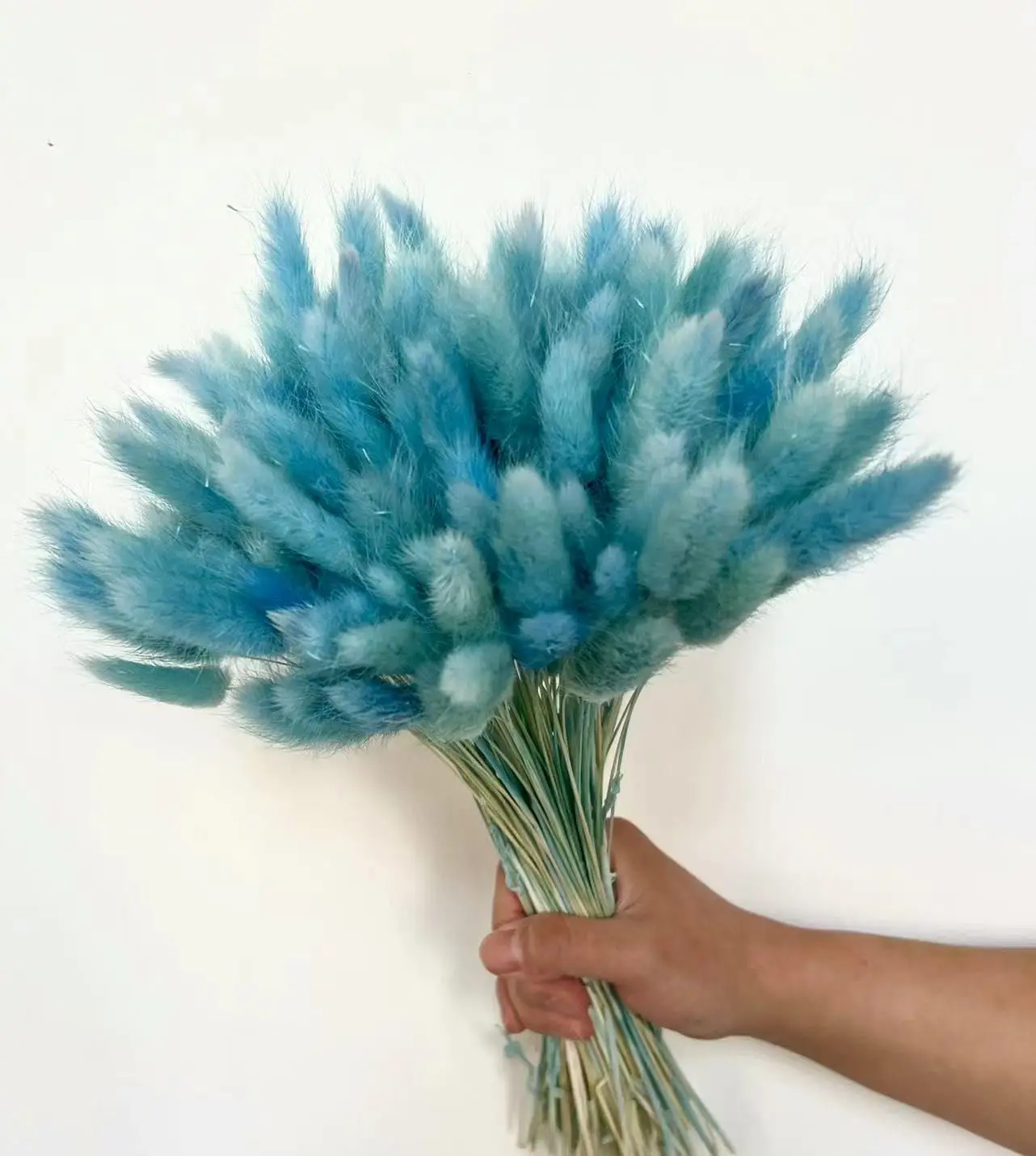 

60 PCS Bunny Tails Dried Flowers Natural Rabbit Tail Grass Boho Lagurus Ovatus Eternal Florals for Wedding, Home Centerpieces