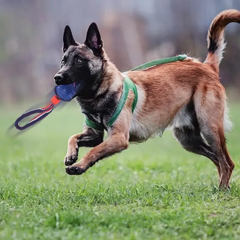 Dog Ball Toy with Rope Interactive Teether with Rope Dog Ball Pet Supplies Chewing Ball Training for Living Room Lake Beach