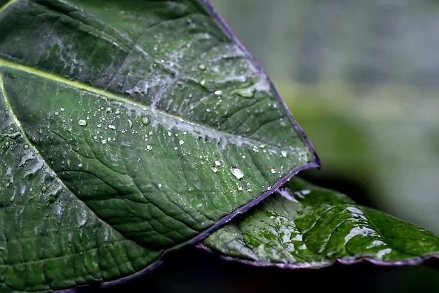 1/7 1/8 شاحنة 17 مللي متر عجلة عرافة الجوز متعددة الوظائف مفتاح التفكيك
