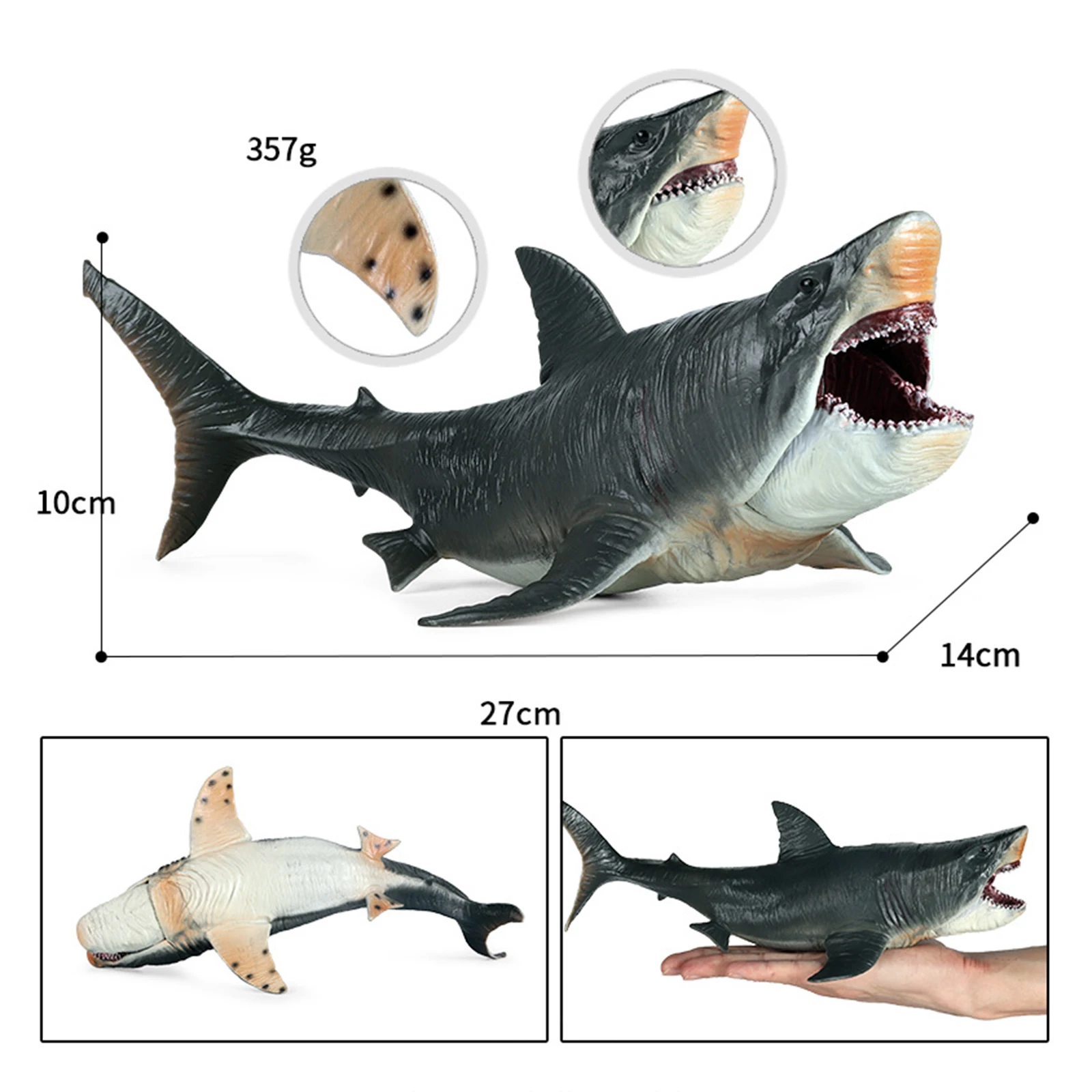 Monster Shark Figure Megalodon Model Ornaments Realistic Ocean Animal Playset Role for Early Learning Toy Decorative Collection