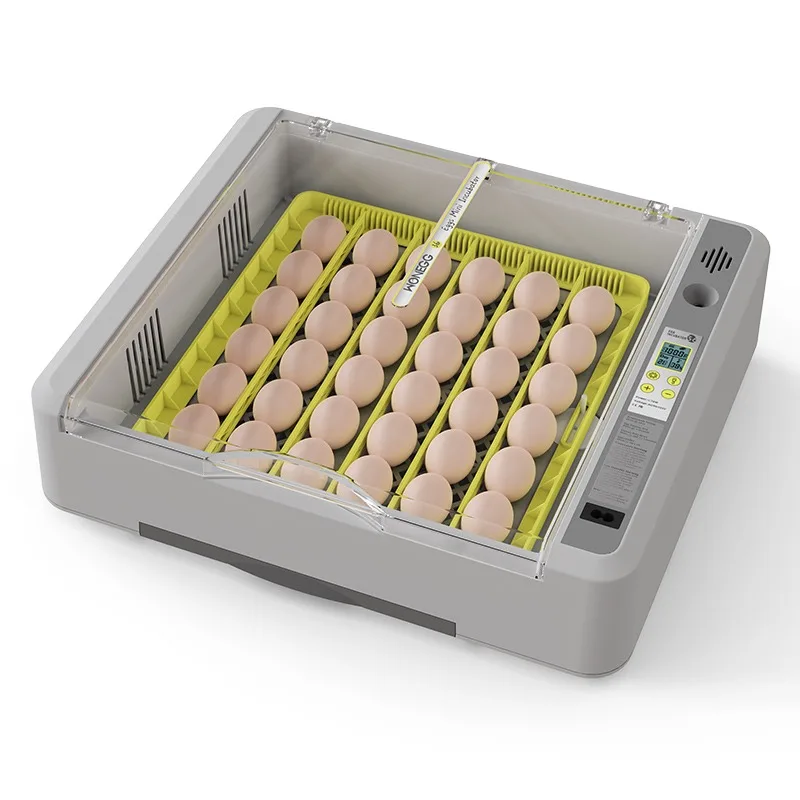 1 Year Warranty 36 Egg Laboratory Incubator Easy Operated in Dubai