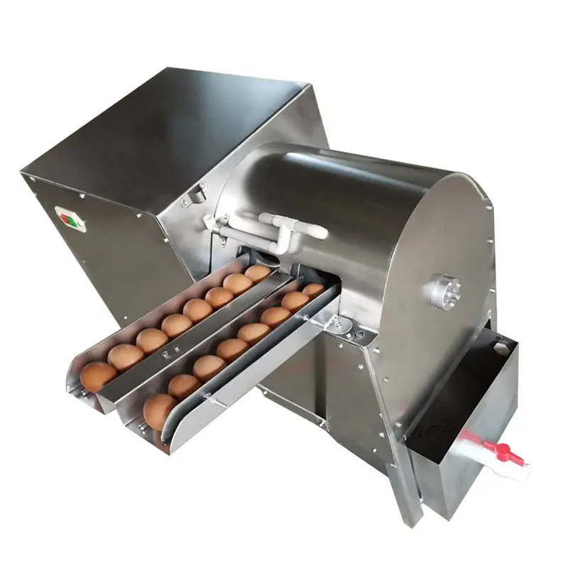 Mesin Pembersih Telur Angsa Sikat Mesin Cuci Telur Bersih Untuk Restoran